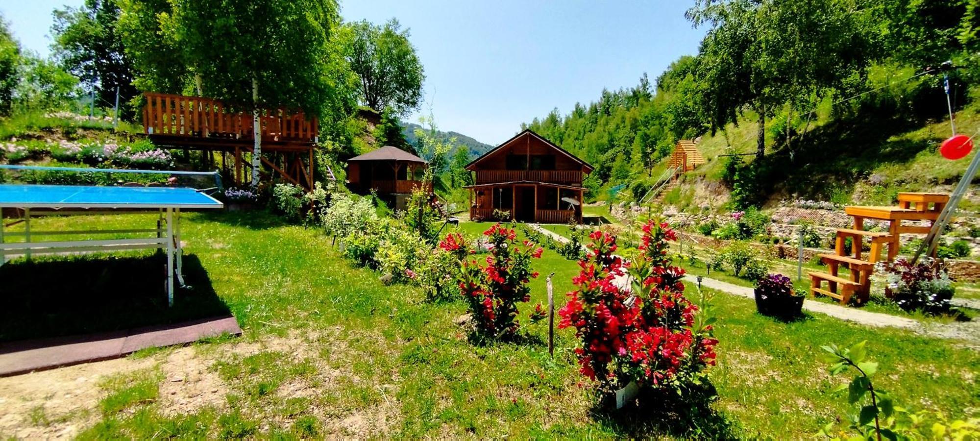 Hébergement de vacances Ana Muntele Rece